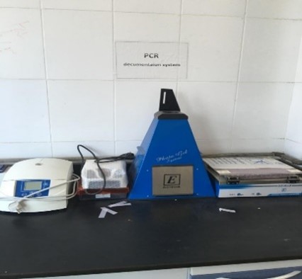 Gel Documentation